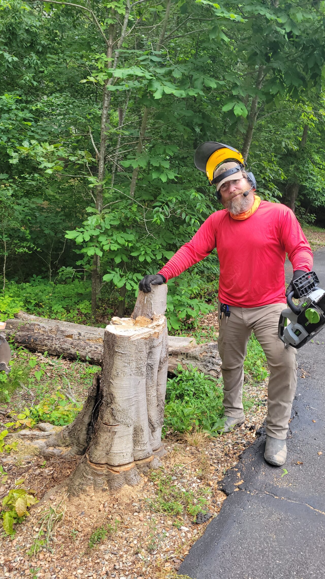 The Benefits of Removing Stumps and Bushes for Landscaping Purposes