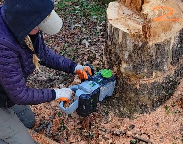 Electric vs. Gas Chainsaws The Ultimate Showdown RVA Stump Removal 100 Stump Grinding